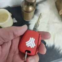 یک دسته کلید و کلید خودرو گم کردم.