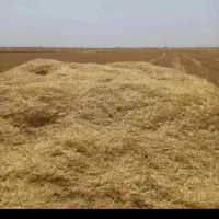 کاه