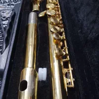 فلوت کلیدار|سازهای بادی|تهران, بهداشت|دیوار