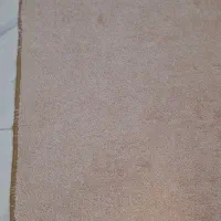 پالاز موکت|موکت|تبریز, |دیوار