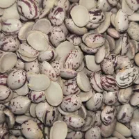 دو لپه لوبیا چیتی