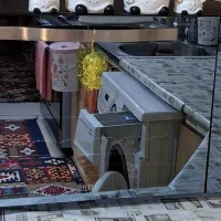 ماکروفر داتیس