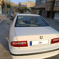 فروش سمندسال