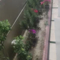 گلبهارجهادفاز2