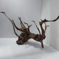 چوب آبنوس|ماهی|آبادان, |دیوار