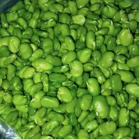 باقالی کنگر