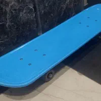 اسکیت برد