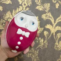 نپتون (جارو دستی) ۲ فرچه کفشدوزک