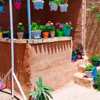 اجاره-سوئیت-ویلادر-جنگل-ابر-شاهرود