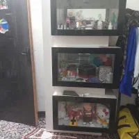گنجه