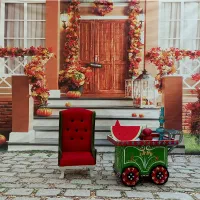 پرده|دوربین عکاسی و فیلمبرداری|تبریز, |دیوار