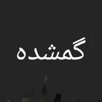 کیف پول مشکی گم شده شهرک وائین
