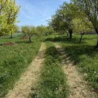 باغ در نیماور