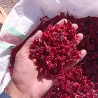 چای ترش دلگان|خوردنی و آشامیدنی|دلگان, |دیوار