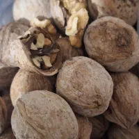 گردو تازه