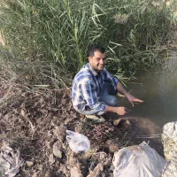 حوضچه-ماهی17هکتاروزمین-زراعی20هکتارروستای-مسعودی-1