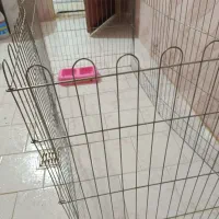 پارک سگ