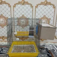 فروش قفس های بزرگ و کوچک با کلبه
