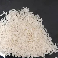 برنج اورگانیک هاشمی|خوردنی و آشامیدنی|رشت, حمیدیان|دیوار