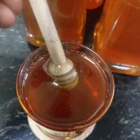 عسل طبیعی اعلا  به قیمت عمده|خوردنی و آشامیدنی|سهند, |دیوار