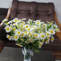 گل مصنوعی|گل مصنوعی|پیر بکران, |دیوار