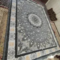فرش نگین مشهد|فرش|زنجان, |دیوار