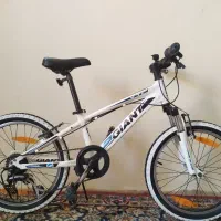 دوچرخه جاینت XTC سایز 20