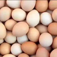 تخم مرغ رسمی اصل روستا