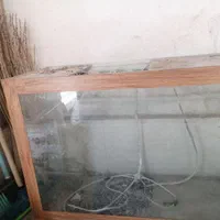 اکواریوم