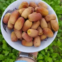 خرما زاهدی سوپر لوکس درجه یک و پیاروم دستچین شده