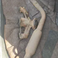 چودنی اگزوز پژو