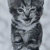 سفارش طراحی چهره|تابلو، نقاشی، عکس|برازجان, |دیوار