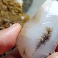 راف سنگ شجر مشکی