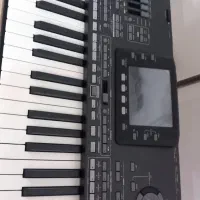 ارگ pa3x  پنج اکتایو|پیانو، کیبورد، آکاردئون|میاندوآب, |دیوار