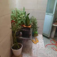 فروش فوری خانه ویلایی دوبلکس|فروش خانه و ویلا|رشت, پاره بیجار|دیوار