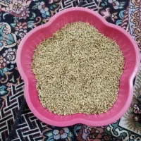 جو محلی درجه یک تمیز