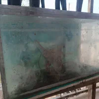 آکواریوم و لوازم
