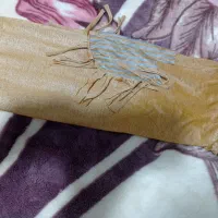 تعدادی لباس|لباس|قزوین, |دیوار