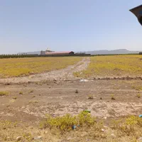 فروش زمین بر جاده خرم آباد کوهدشت