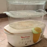بخار پز مولینکس