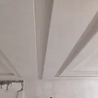 رابیتسکاری