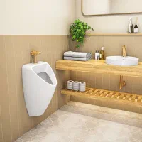 توالت سر پایی