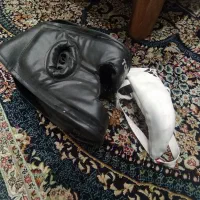 دستکش و ساق بند و کمربند و کلاه و بیضه بند رزمی|تجهیزات ورزشی|مشهد, هفت تیر (نه دره)|دیوار