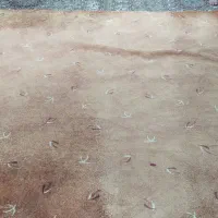 موکت|موکت|سنندج, |دیوار
