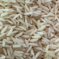 برنج طارم هاشمی درجه یک فریدونکنار|خوردنی و آشامیدنی|شیراز, معالی‌آباد|دیوار