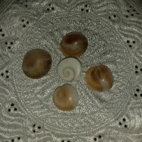 مهره ما.ر|زیورآلات و اکسسوری|کنارک, |دیوار