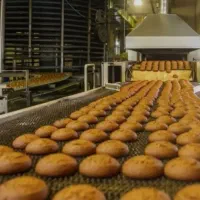 جذب نیرو/سرویس/بیمه+پاداش/بسته بندی بیسکوییت