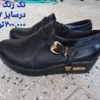 تعدادی کفش زنانه و مردانه نو