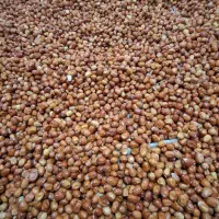 سنجد درجه یک|عمدهفروشی|مشهد, هفت تیر (آب و برق)|دیوار