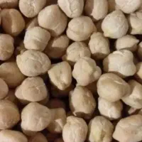 فروش نخود سفید درجه یک